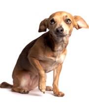 FittProject's tweet image. When I remember it's leg day...