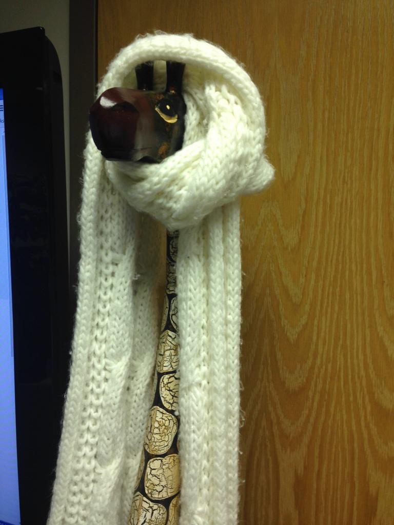 aprilnichole_m's tweet photo. Jerad says : This is not the Serengeti. It's cold in here. @tppsoftware #scrumroom @johncohen99 http://t.co/jvnkq2np5N