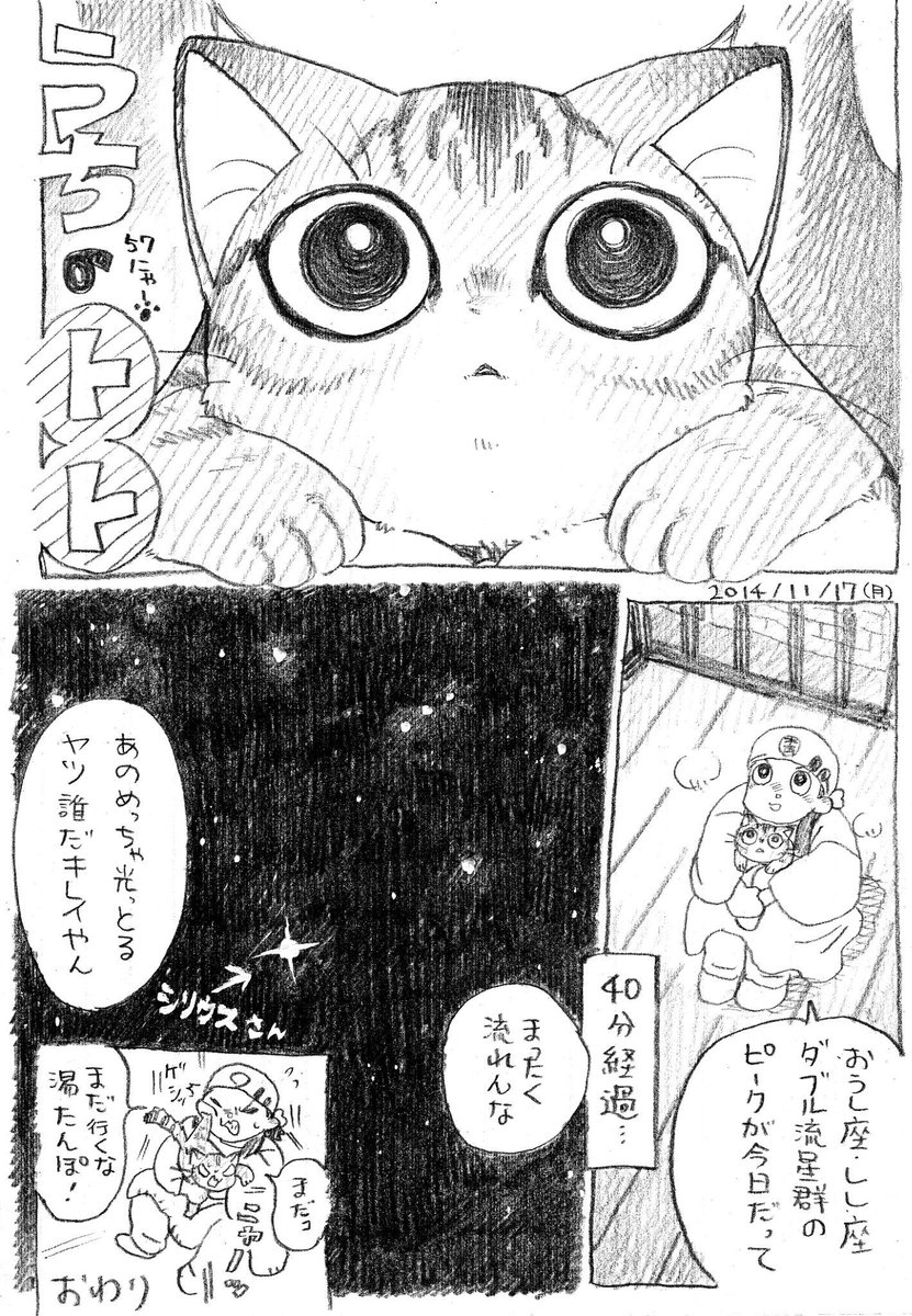 ねこまんが。第57話。牡牛座・獅子座ダブル流星群。生で観ることならず…★朗報★11月23日コミティア『"ふ"58』にて、うちのトト簡易コピー本が配布されます!本編数話と番外編を収録。無料なのでお立ち寄りの際は是非お持ち帰りください! 