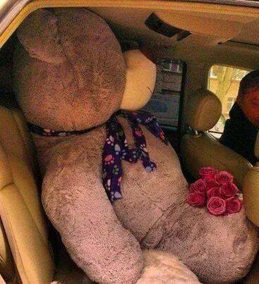 NeryCuallotuits's tweet photo. --¿Amor estas en tu casa?
 te compre un regalito http://t.co/41tkZOsQUZ