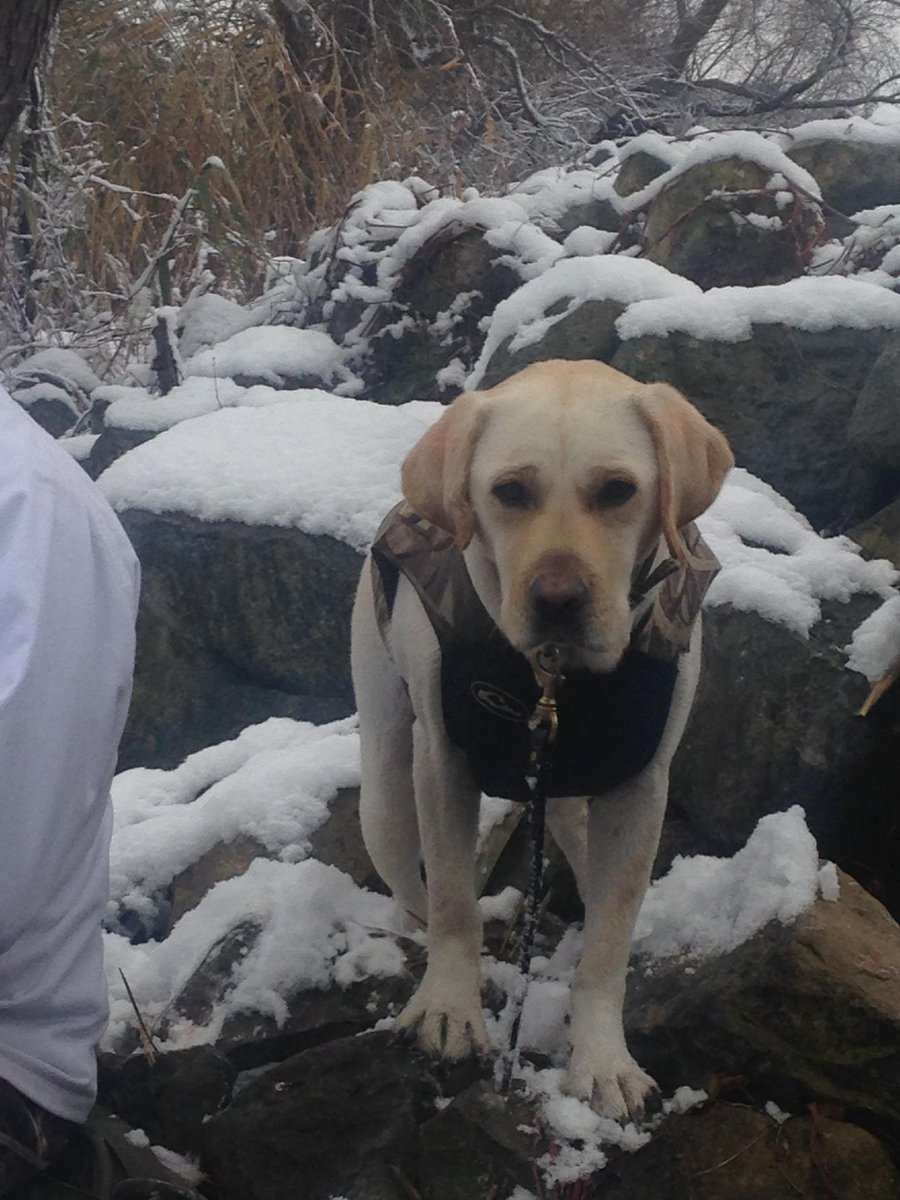 LabReports's tweet image. Me, Kev and our friend Stacy yesterday doing a little duck hunting on Lake Erie yesterday.