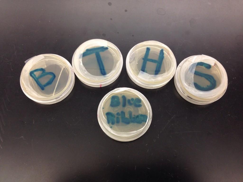 David Fusco tweet media