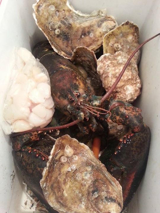 Menemshafishman's tweet photo. Dinner to your door! #Lobster #Scallops #giftideas #comfortfood #seafoodchat #marthasvineyard #dinnerideas #SeaFolks http://t.co/PLlgbfb8XB