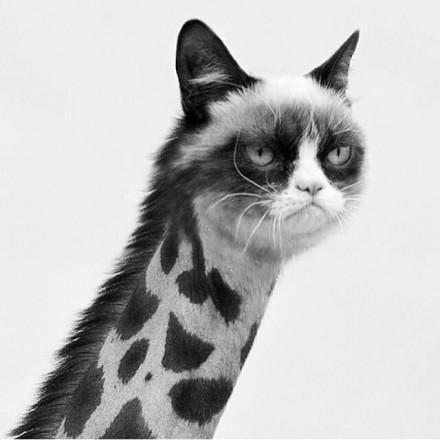 Collect moments,not things.