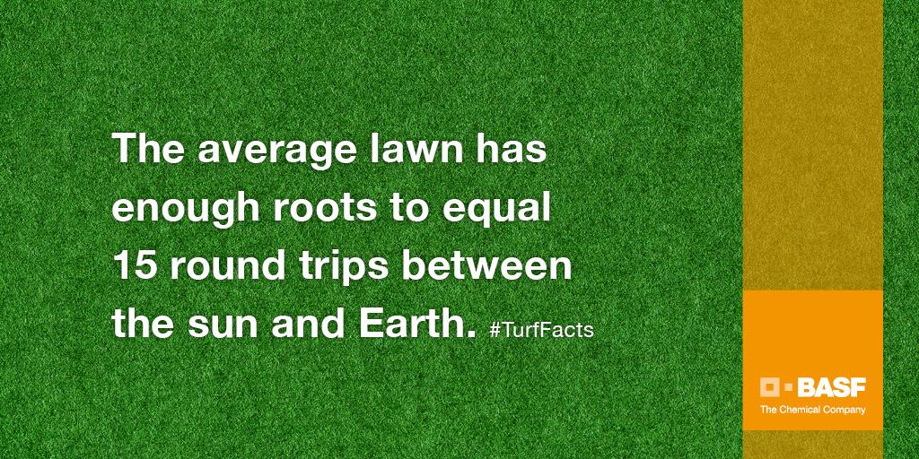 BASFTurf_us's tweet photo. The average lawn has enough roots to equal 15 round trips between the sun and Earth #TurfFacts http://t.co/f6K8GhPLbm