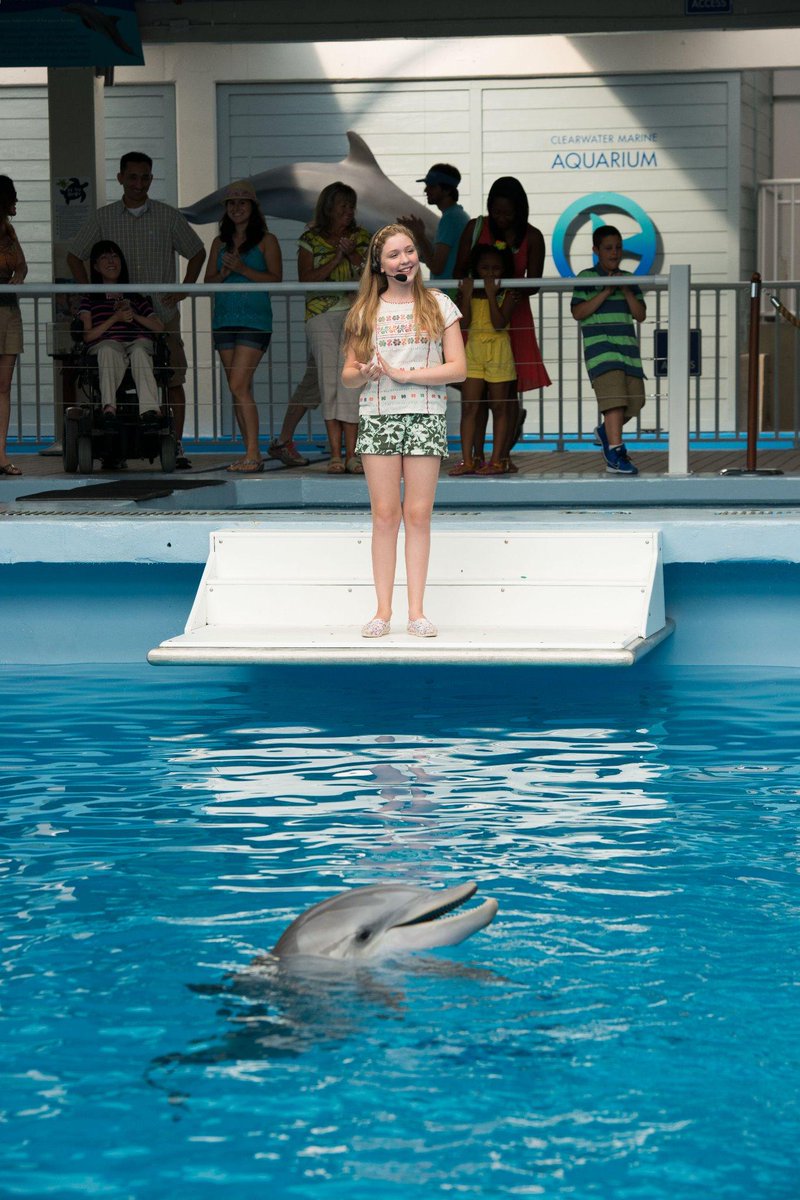 Dolphin Tale tweet media