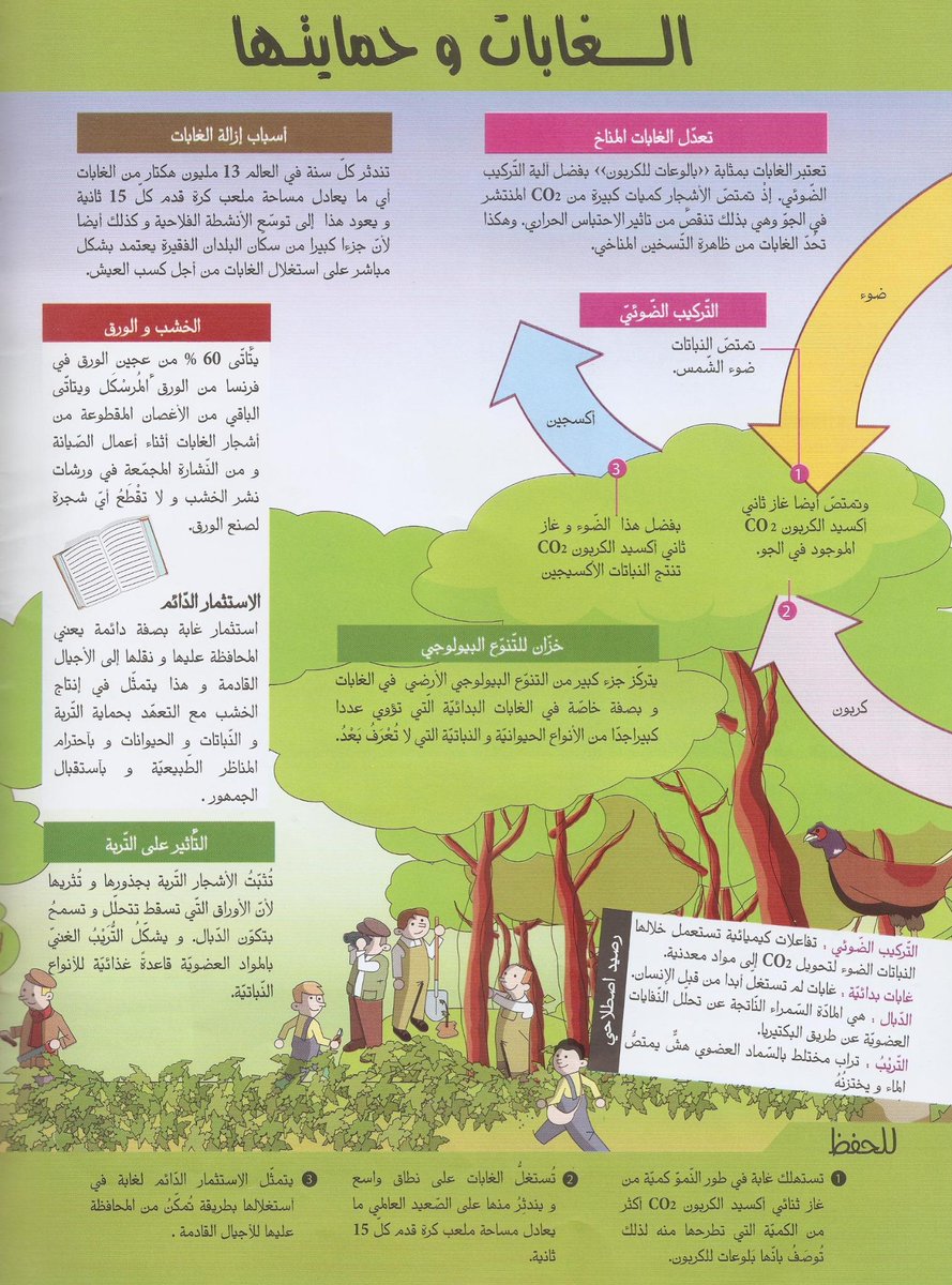 تبسيط المفاهيم البيئية (8)
الغابات
#بيئة #تعليم