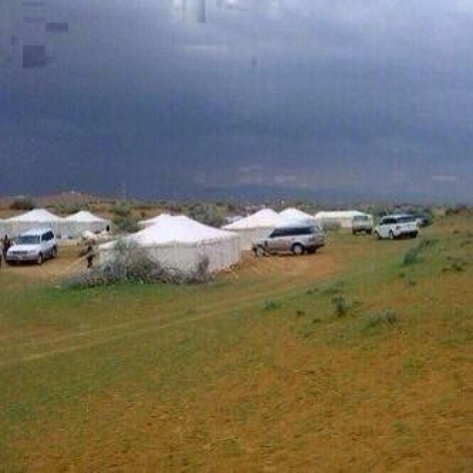 aom88891's tweet photo. أحب المطر والذود والروض والمقناص
 وأحب الشجاع وطيب الساس والسيره http://t.co/bLOBbKiCeN”"