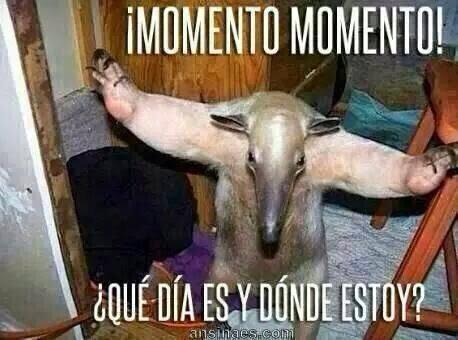 ASMarco43's tweet photo. Que tal les fue de puente ????? http://t.co/RrC70jmeYP