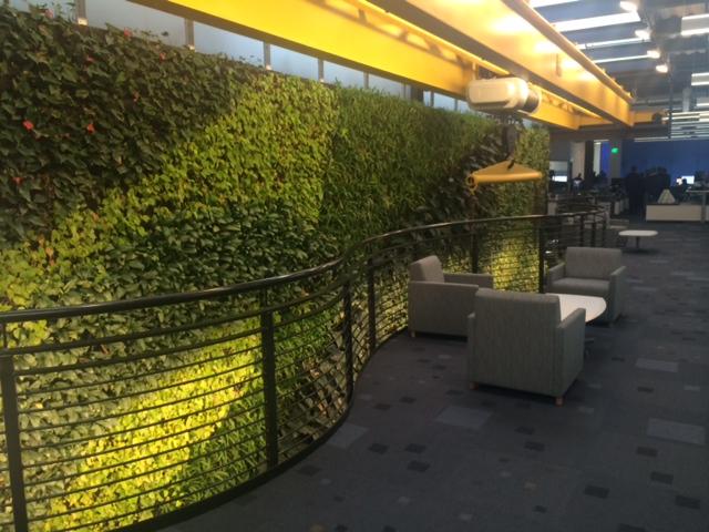 NatalieKFBS's tweet photo. @UNCRealEstate #realworldrealestate #citrixgreenwall #raleightrek http://t.co/sdChrtxcUL
