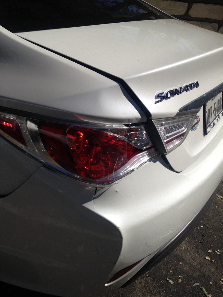 beccabramov's tweet photo. People...why you gotta be so rude??? #poorbabyBlanca #saveBlanca http://t.co/5gy0Q7EEPX