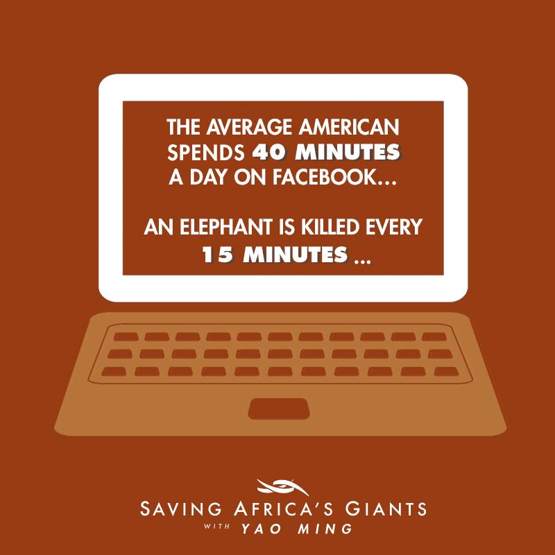 WildAid's tweet image. Take the #IvoryFree pledge at ivoryfree.org &amp;amp; watch @YaoMing's @AnimalPlanet special TONIGHT at 10/9c.