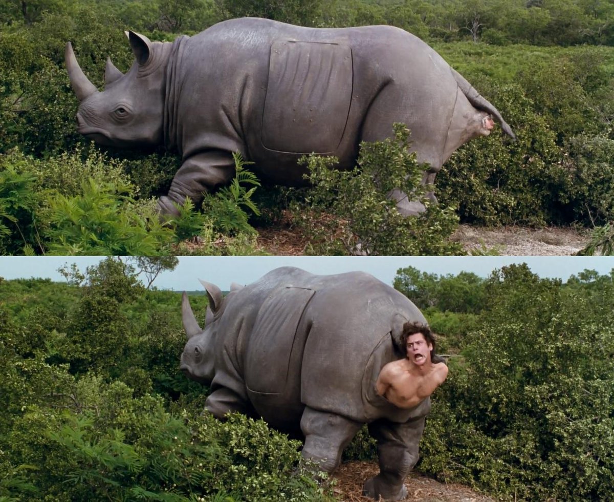 носорогу в жопе голова фото 106