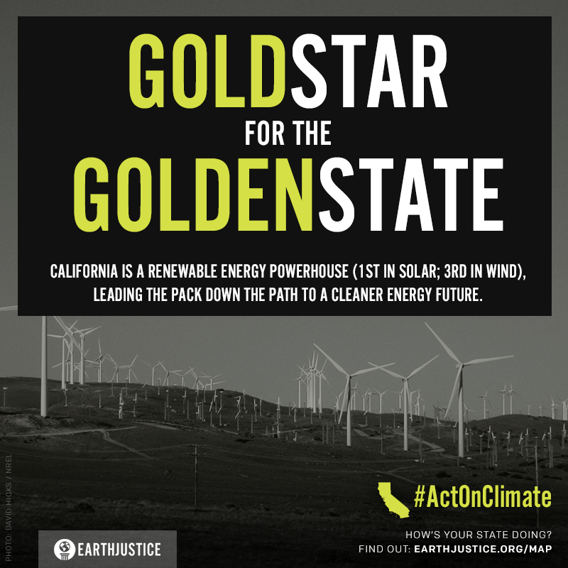 Earthjustice's tweet photo. #KeystoneXL is a step back! Let's move forward like clean energy star, CA - ranked #1 in solar http://t.co/8gaIpsAkK2 http://t.co/6E2LWyw8H6