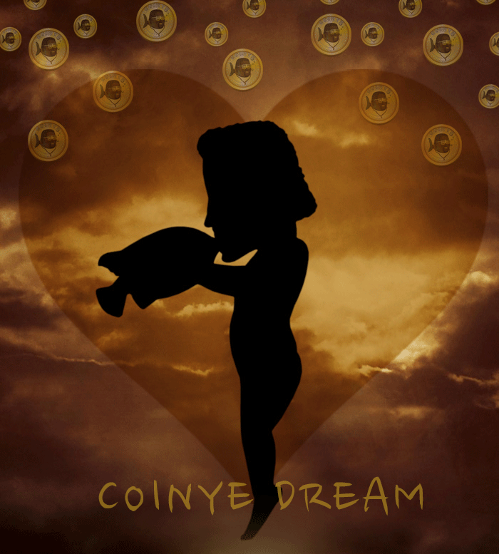 Newcoinye tweet media