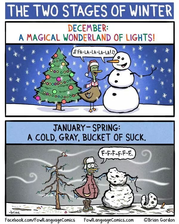 TiGeR_LiLy_1985's tweet image. 