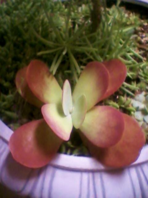 Ritualchanges tweet picture
