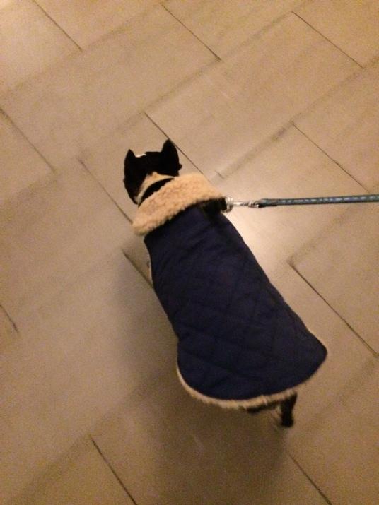 Embedded image permalink