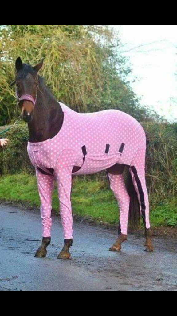 Fat_Girls_Life's tweet photo. Horse in a pj http://t.co/E7fm17nMhB
