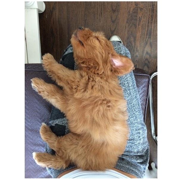 madbeeer's tweet photo. Babyboy. http://t.co/Ig3wX57xPJ