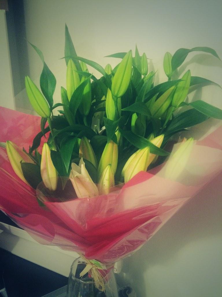 Danielle tweet media