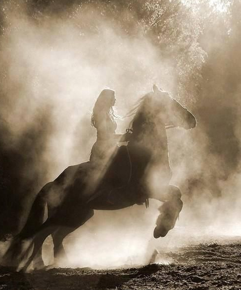 The slant of light was perfect for an afternoon ride. #CastleLeoch #Escape #EquineBeauty (photo: Gabriele Benassi)