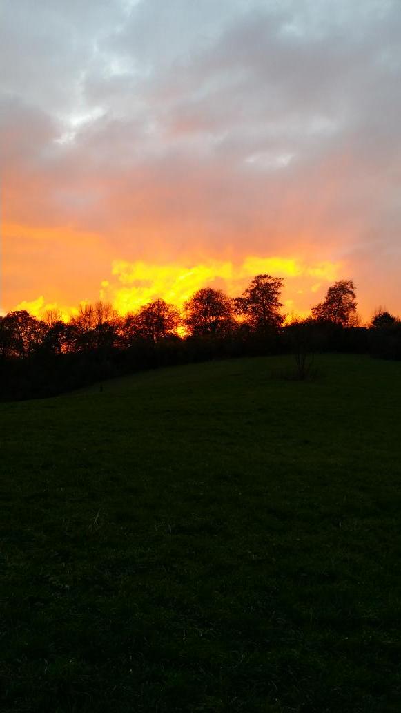 savebugsbottom's tweet photo. I have not tampered with this picture, the sky was incredible when we were walking this evening at #bugsbottom #rdguk http://t.co/VRXqNvm5nc