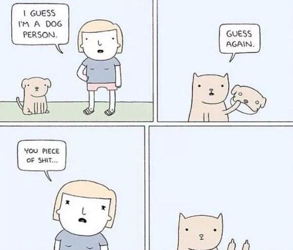 funckrecords's tweet photo. Are you a cat person or a dog person? http://t.co/2xoq7rVdJq
