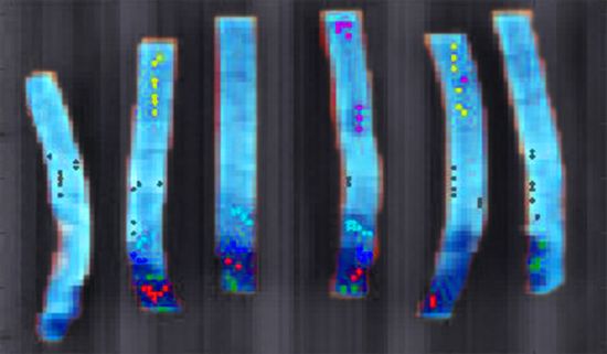 End of “Sugar Ends”? Key Technology equipment now capable to remove responsible potato strips potatopro.com/node/11556