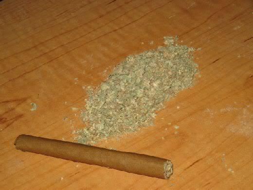 ProblemsOneonta's tweet image. Oneonta NY starter pack