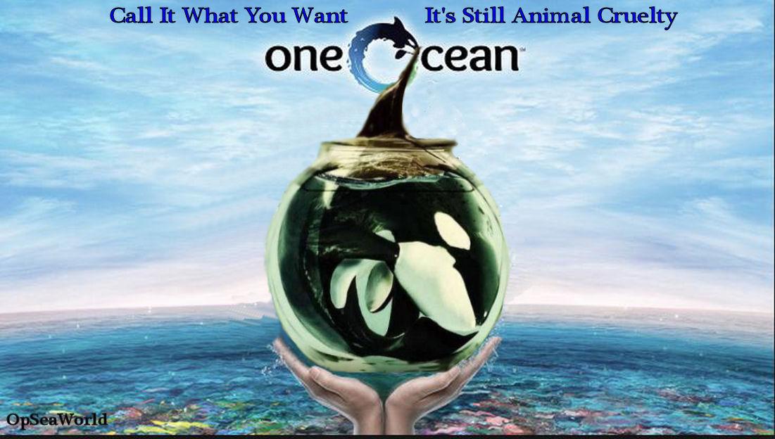 theirvoice2's tweet photo. it doesnt matter what they do @SeaWorld will always be responsible for animal cruelty #OpSeaWorld https://t.co/BkLE8JBqfx
