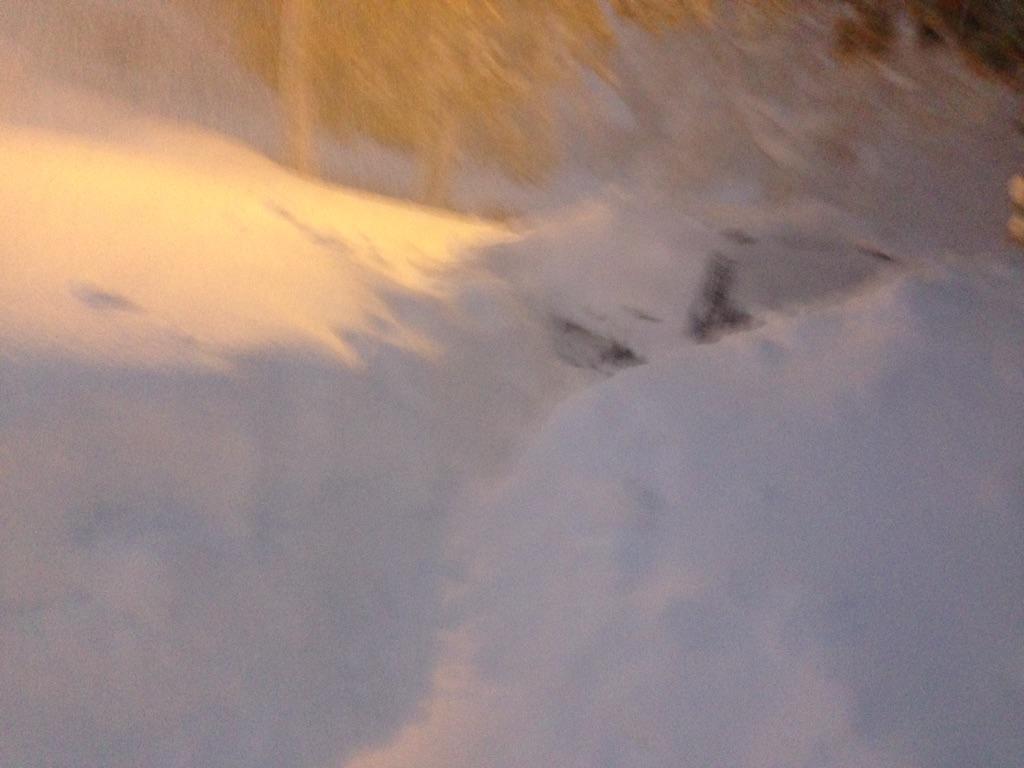 KBright1234's tweet photo. This is absurd. Where is the #honeybadger #terrormobile #fivefeet #Snowmageddon http://t.co/EyDJyLAJYo