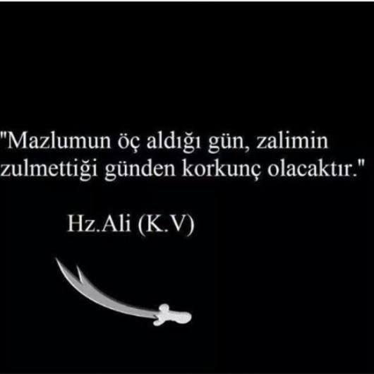 Tunc Koltan Tunc68 Twitter