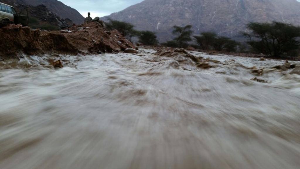 Pointed Pointed tweet media