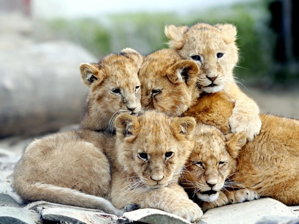 Megan_Means's tweet photo. "I like who I am when we're together."  Together is a wonderful place to be... http://t.co/jKz9UQxfg8