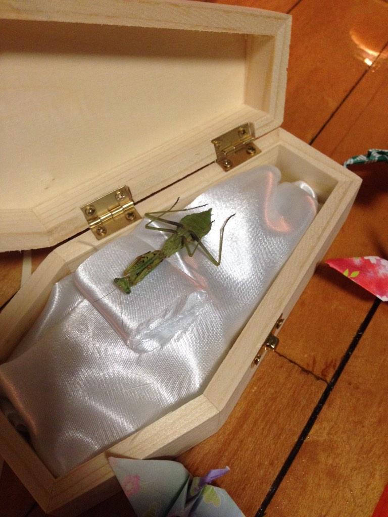 MCBC45's tweet photo. Today, this world lost one tough little bugger. #RIPMantis http://t.co/VOtRd8kG85