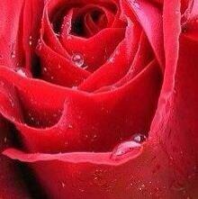 lolo4743514's tweet photo. @1190Khalifa http://t.co/9qR3dew3tR