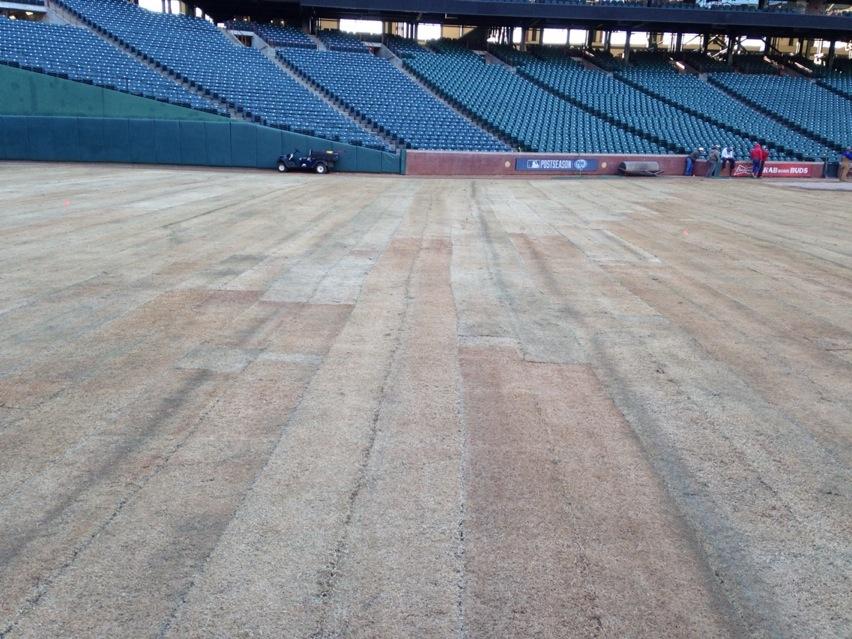 TXGroundsCrew's tweet photo. 40,000 sqft today. 40,000 tomorrow. #Latitude36 #ImprovedVariety #Renovation2014 http://t.co/dDucbhiL7M