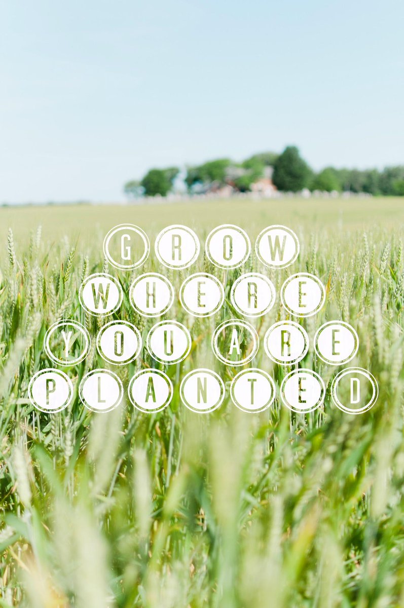 AZALEA BLOG: "Voices" columnist, <a href="/JessicaFrere/">Jessica Frere</a>, shares lessons from her Southern homecoming. bit.ly/1xmEZAP