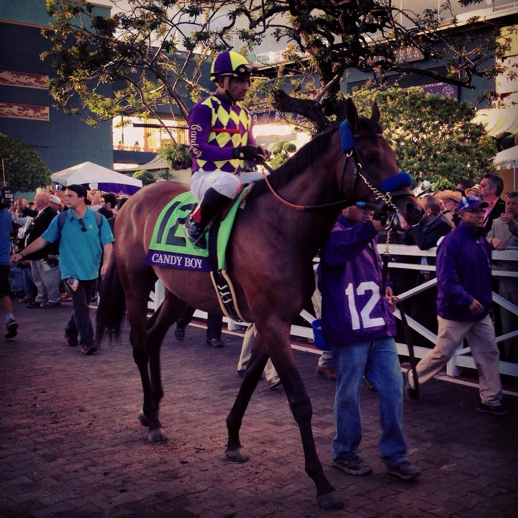 TheBubba97's tweet photo. Check out these photos MP took at the @BreedersCup! @CandyBoyhorse @SharedBelief Moreno and my favorite @CalChrome! http://t.co/cXEMKffyGe