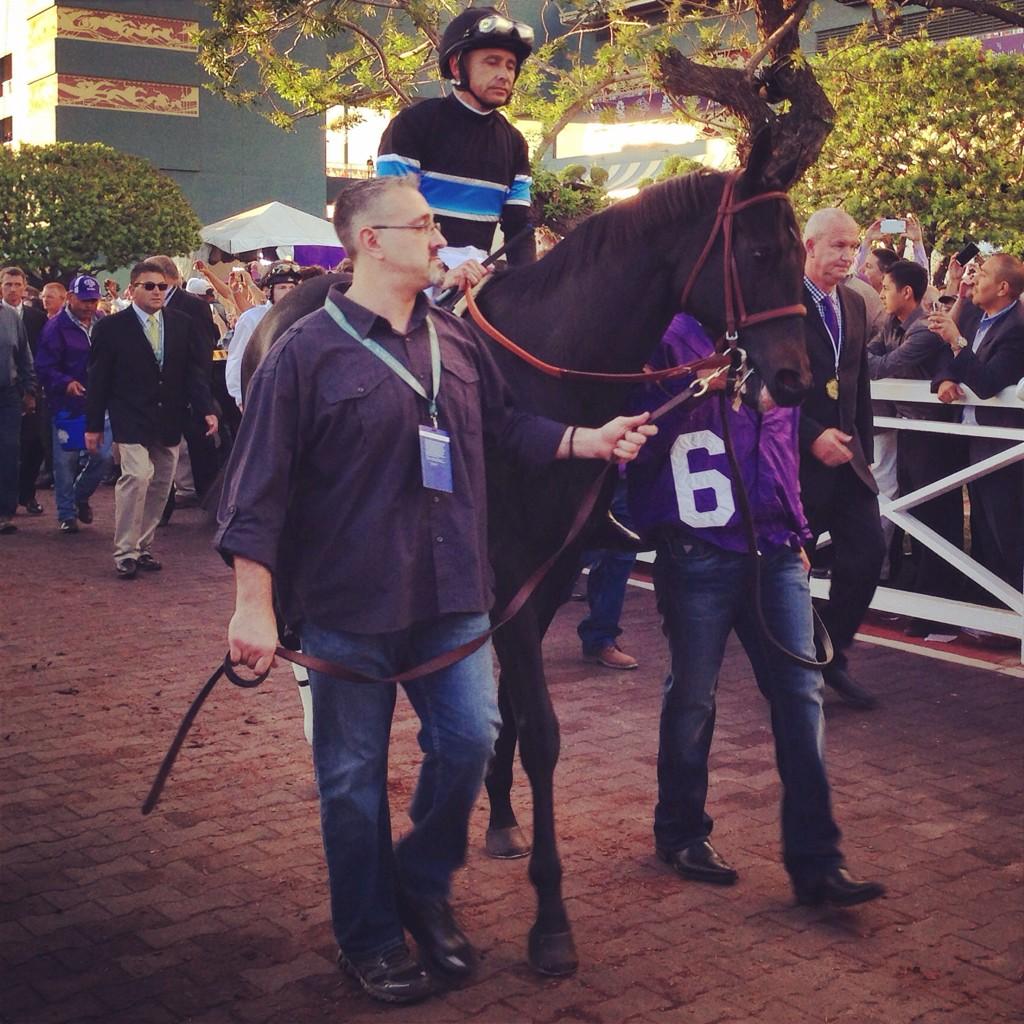 TheBubba97's tweet photo. Check out these photos MP took at the @BreedersCup! @CandyBoyhorse @SharedBelief Moreno and my favorite @CalChrome! http://t.co/cXEMKffyGe