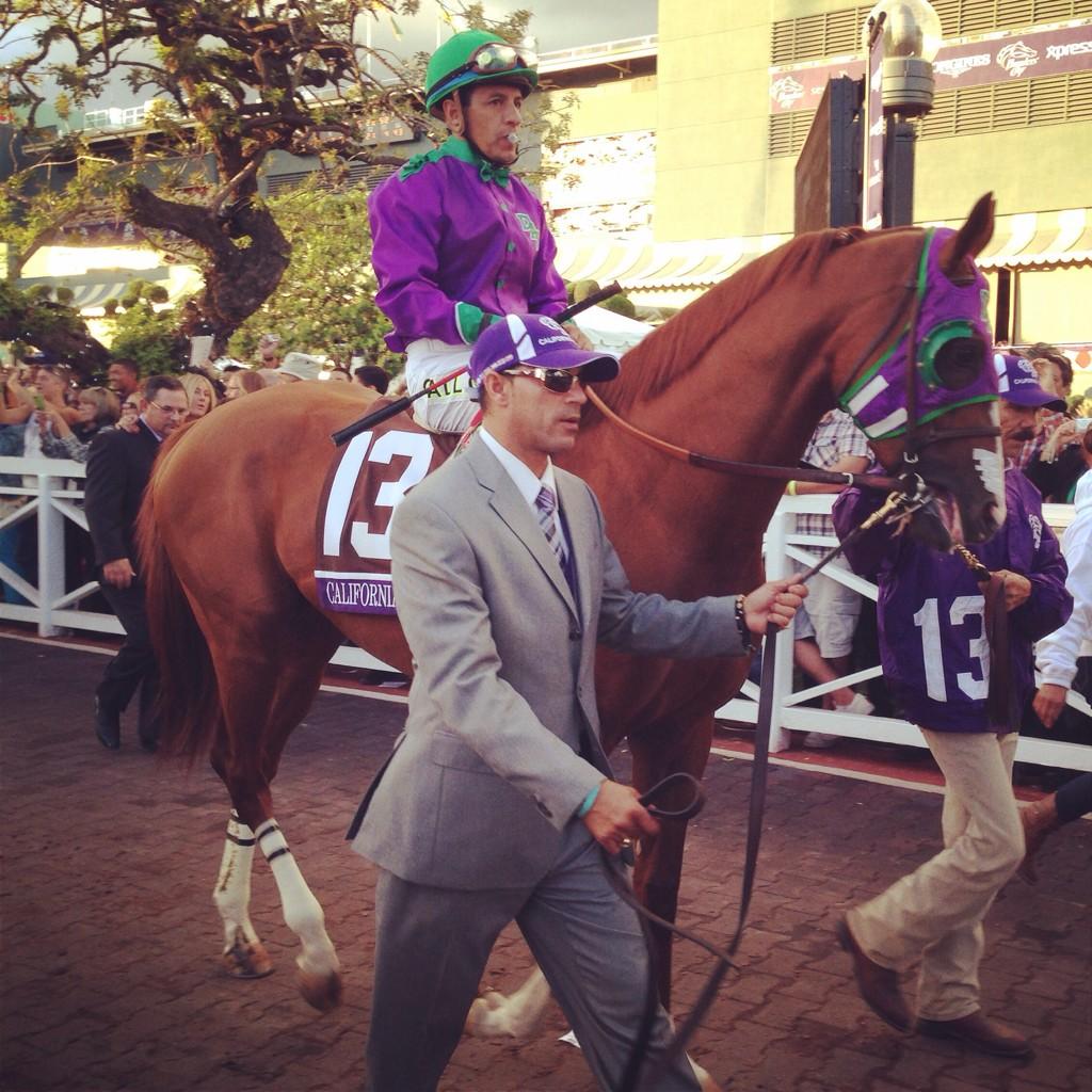 TheBubba97's tweet photo. Check out these photos MP took at the @BreedersCup! @CandyBoyhorse @SharedBelief Moreno and my favorite @CalChrome! http://t.co/cXEMKffyGe
