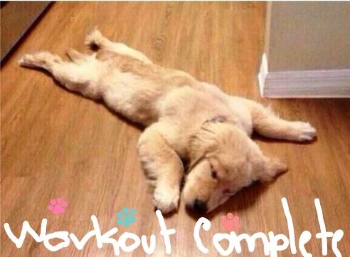 GlezJulmarie's tweet photo. #workoutcomplete @FitnessBlender http://t.co/LqhuWtxysl