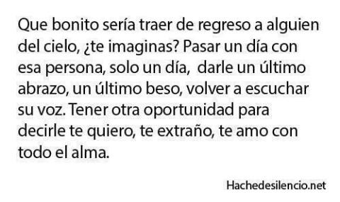 Que bonito sería...