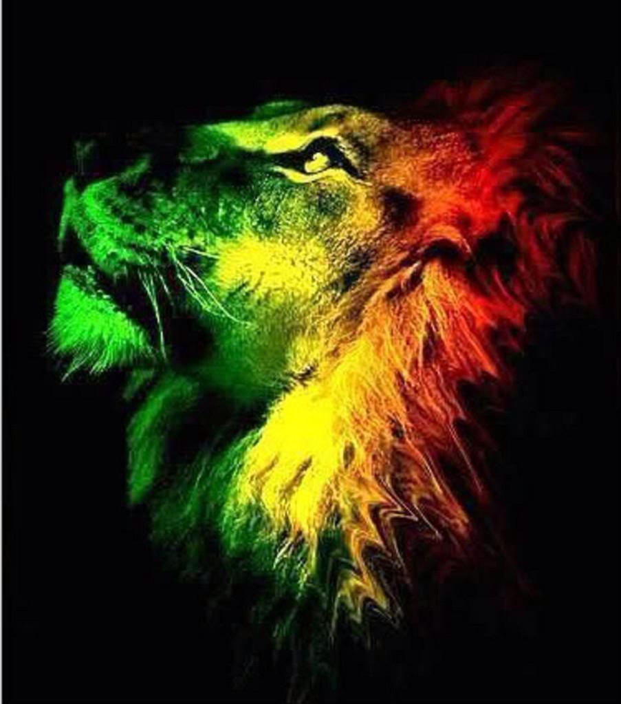Stay_2trippy's tweet photo. True King http://t.co/7FuIrf3kum