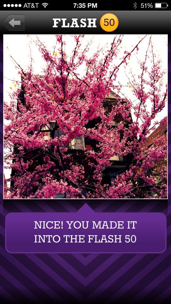 PicSlinger's tweet image. Remember Spring? Yeah, we don't either... Get out on a limb and play some #picSlinger #flash50! #branch