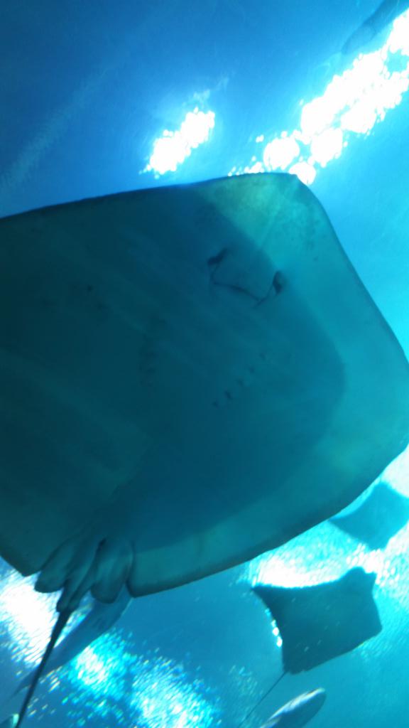 5secsofphoenix's tweet image. Forever it has been since I've been here