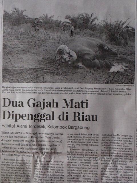 Charlie Evan tweet media