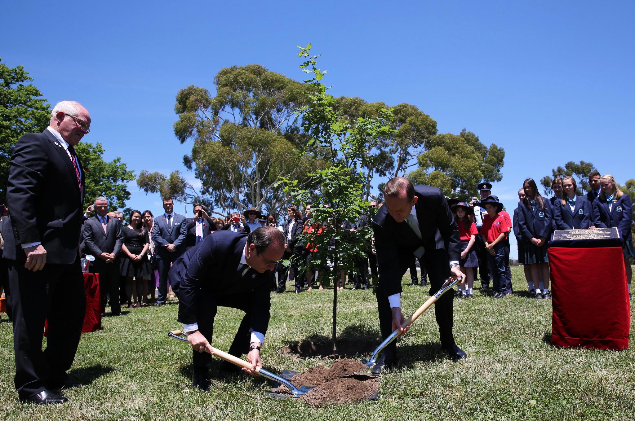 Embedded image permalink