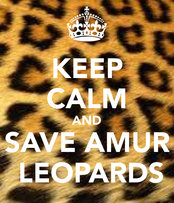HelpTheLeopard's tweet image. #HelpTheLep